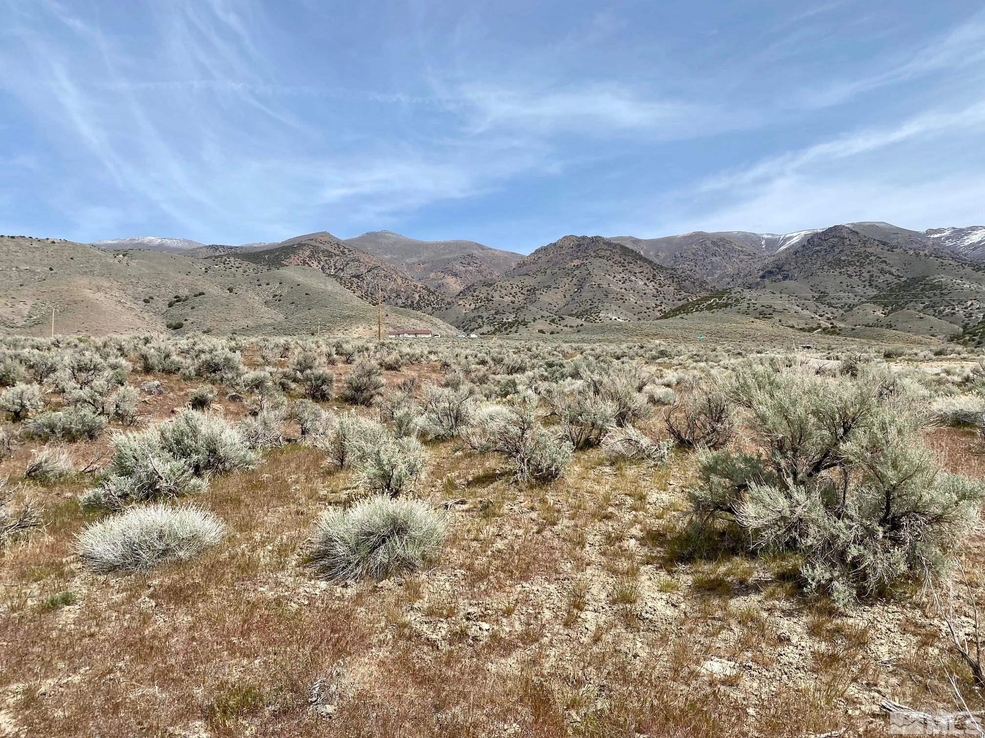 a view of a dry field with mountains in the background