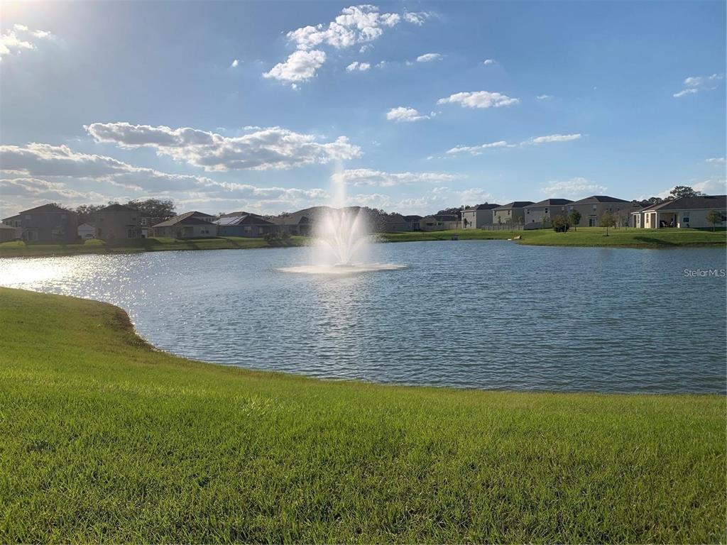 a view of a lake from a yard