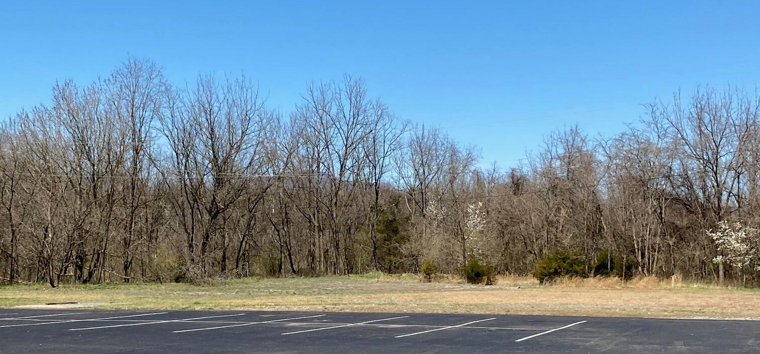 a view of outdoor space with trees