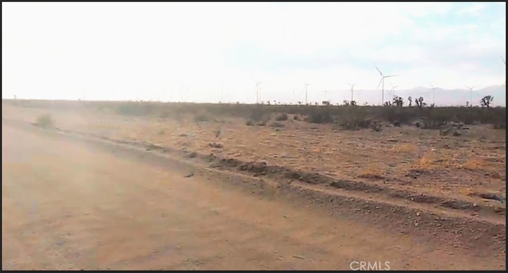 a view of a dry yard with trees