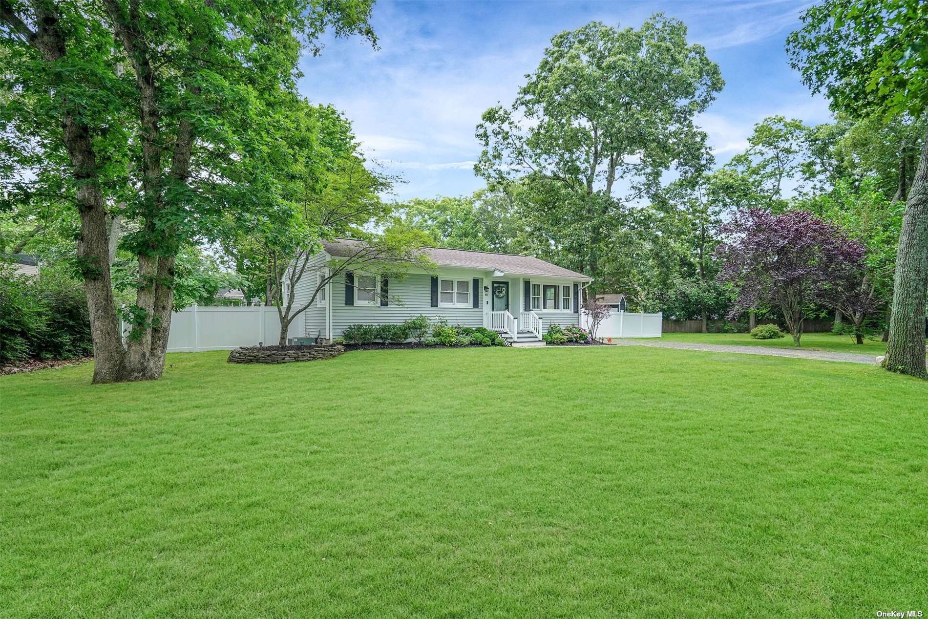 a view of house with a garden