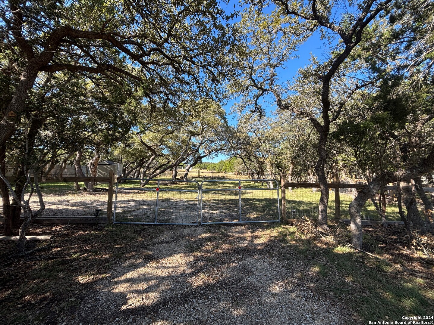 a view of a yard with a tree