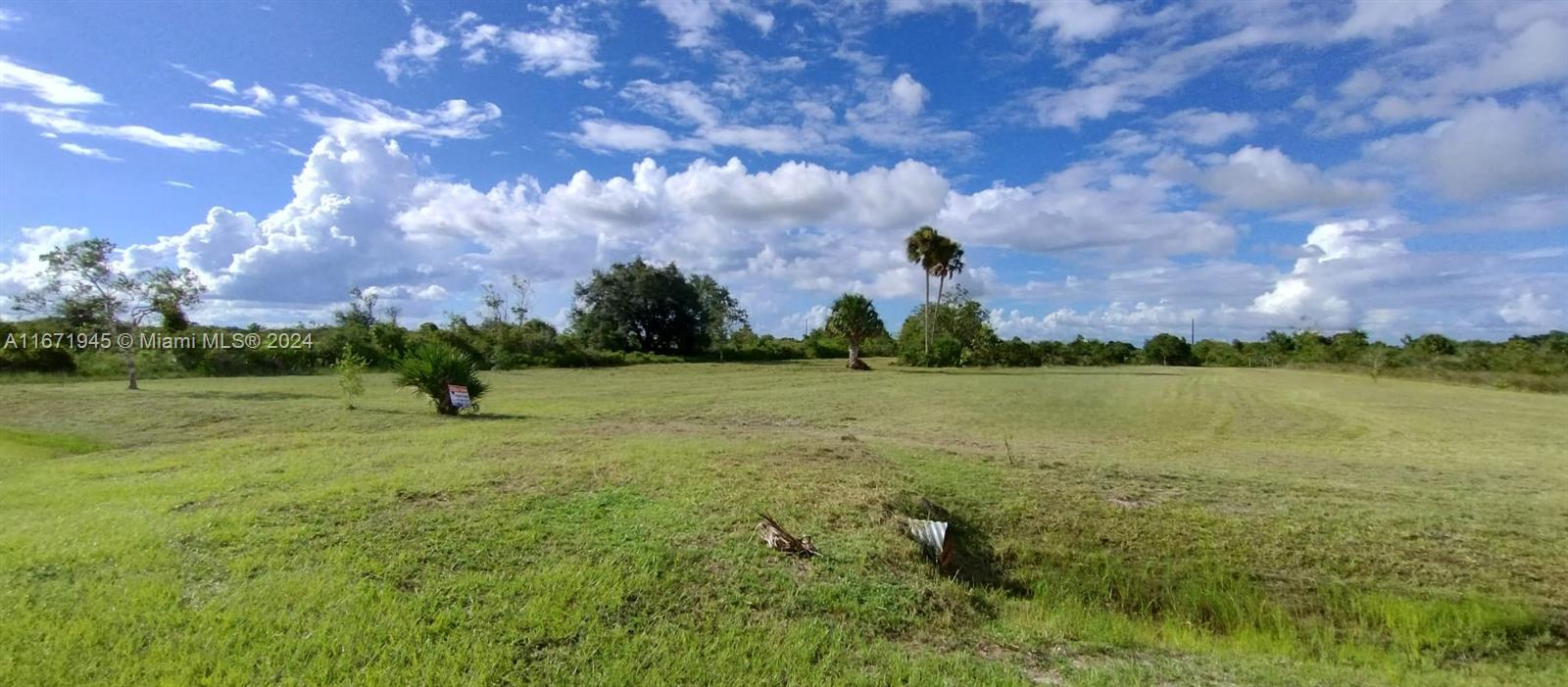 a view of a field with an ocean