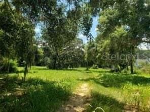 a view of a lush green space