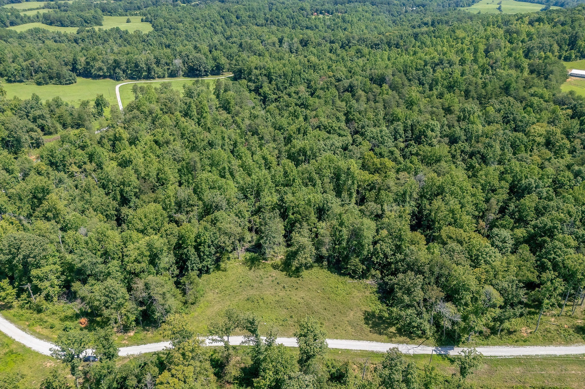 a view of a forest with a houses