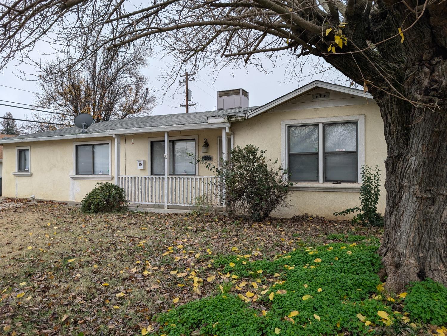 a house that has a tree in front of the house