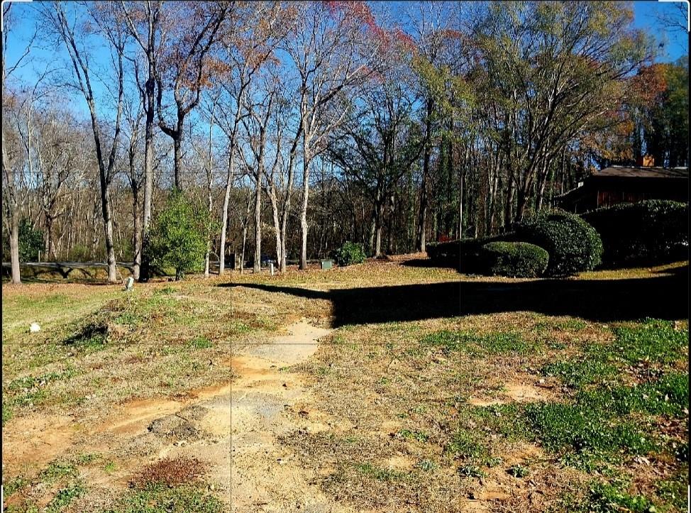 a view of a yard with a tree