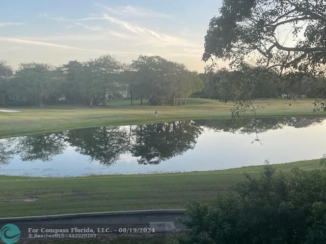 a view of a lake from a yard