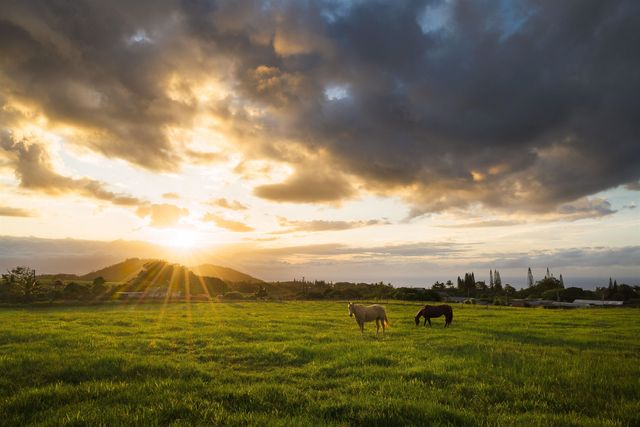 $12,500 | 1949 West Kuiaha Road | Haiku