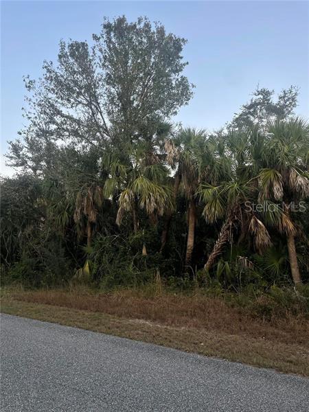 a view of a yard with a tree