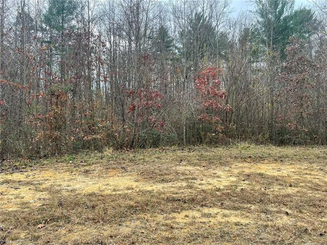 $21,000 | Block B Pulco Lane | New Castle Township - Wilkes County