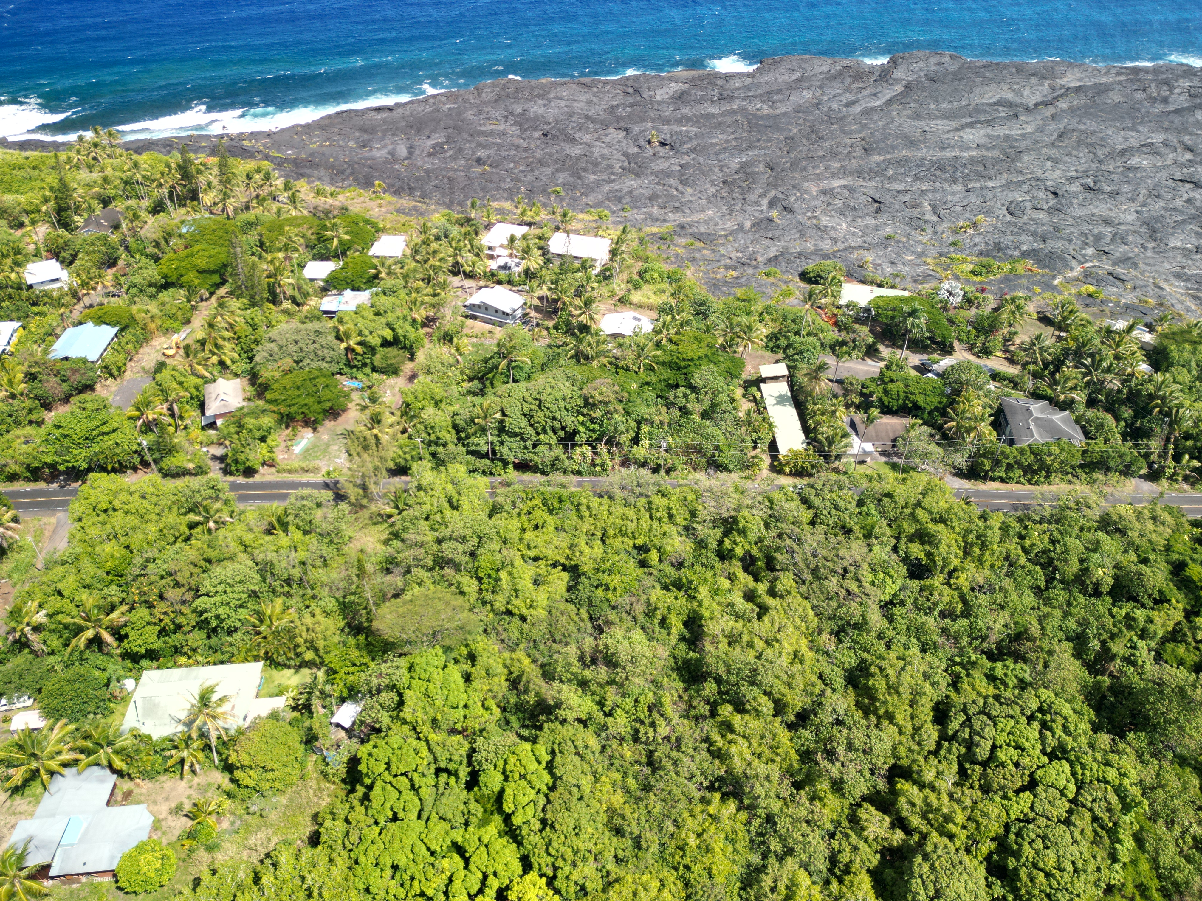 a view of a large yard with lots of green space