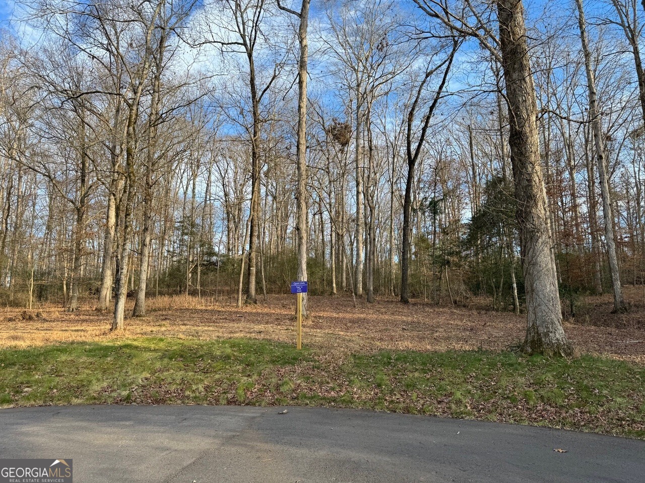 a backyard of apartments with trees