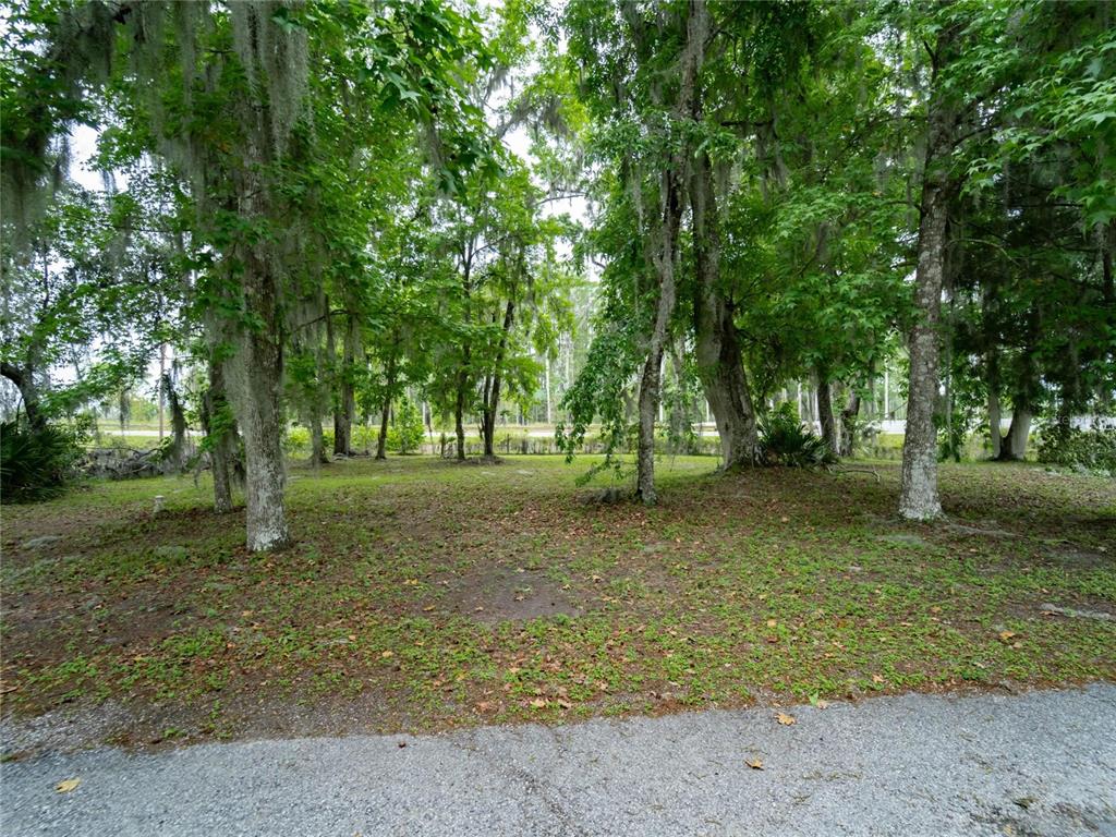 a view of outdoor space with trees