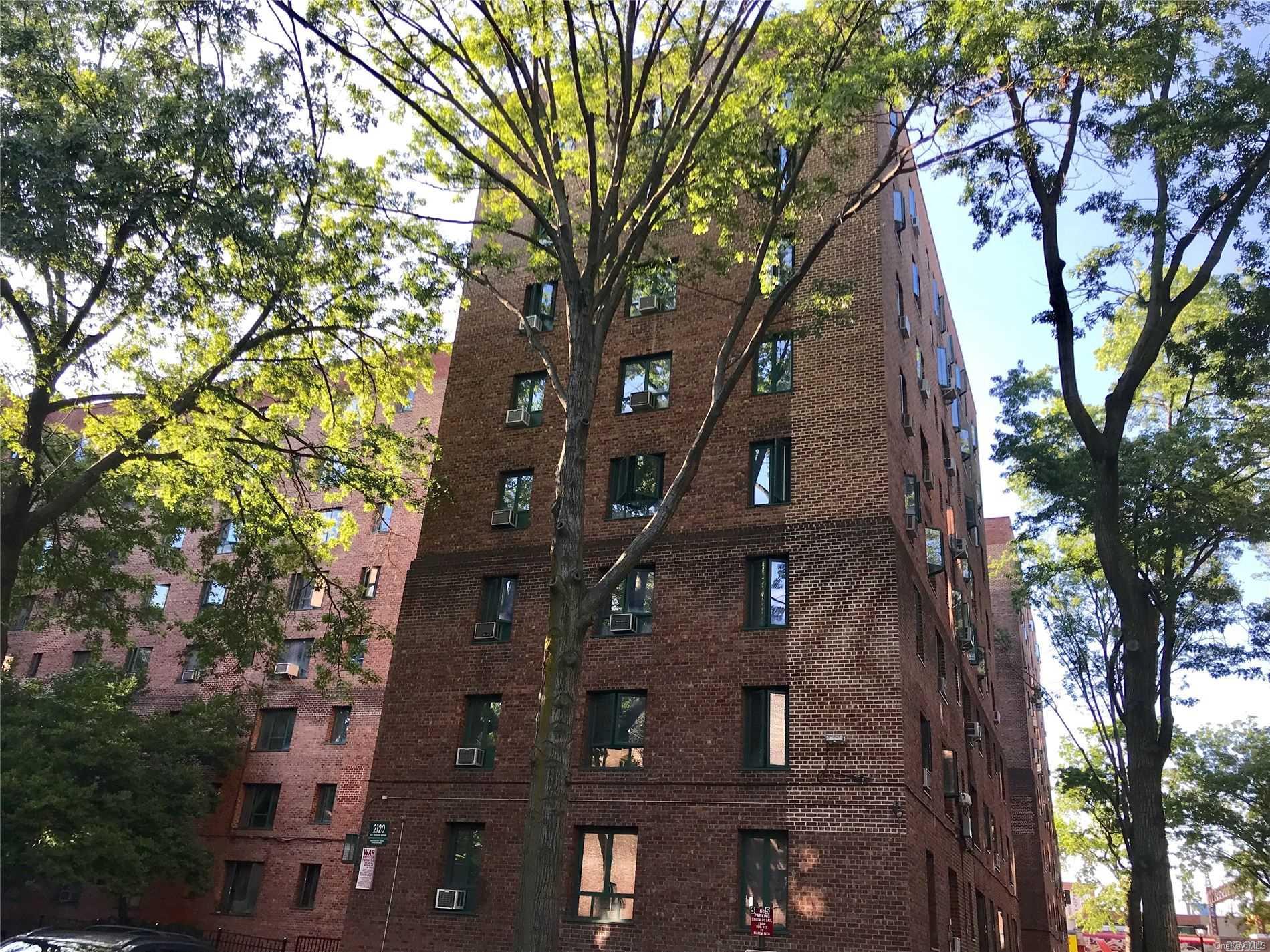 front view of a house with a tree