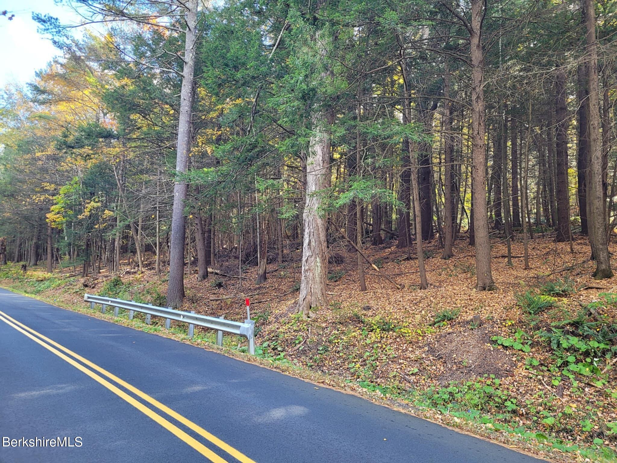 a view of a forest with trees