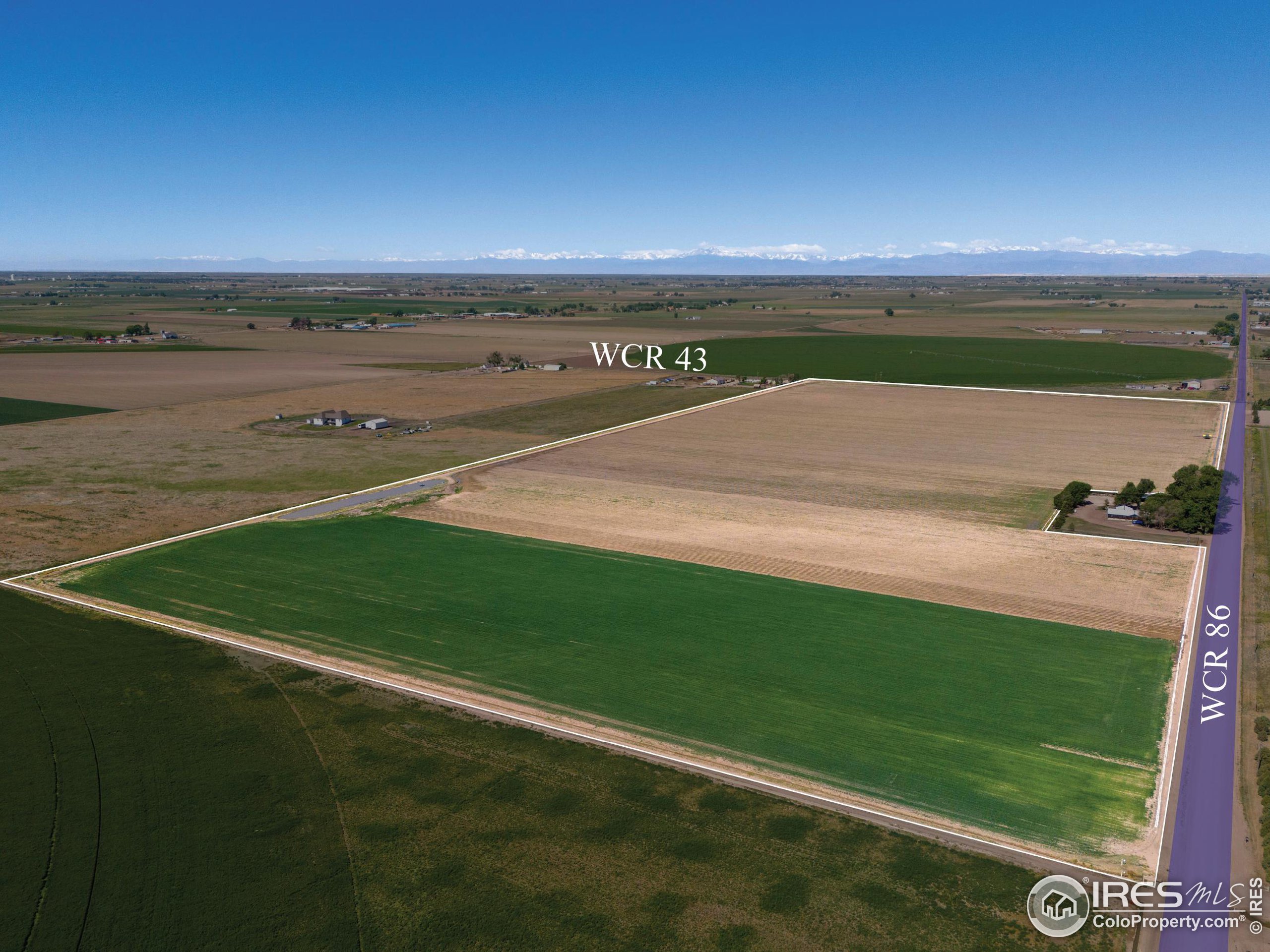 a view of a field of an ocean