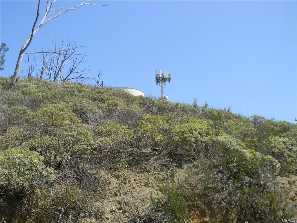 a view of a field with a tree in the background