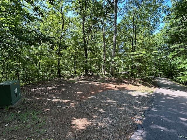 a view of outdoor space and trees