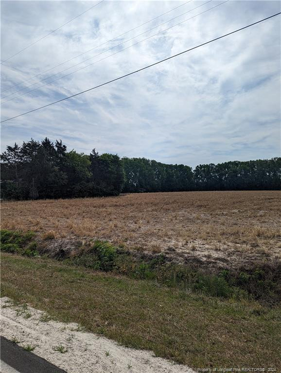 a view of a lake from a yard