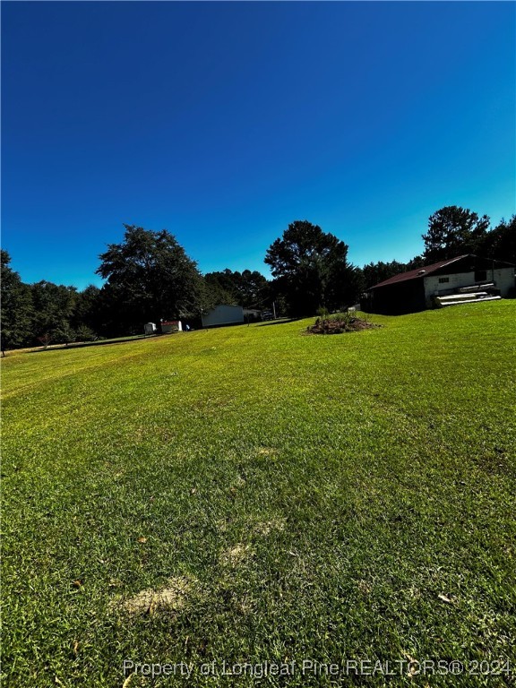 a view of a field with a tree in the background