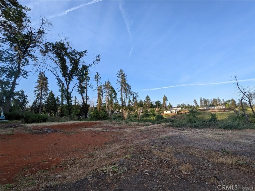 a view of dirt field with trees