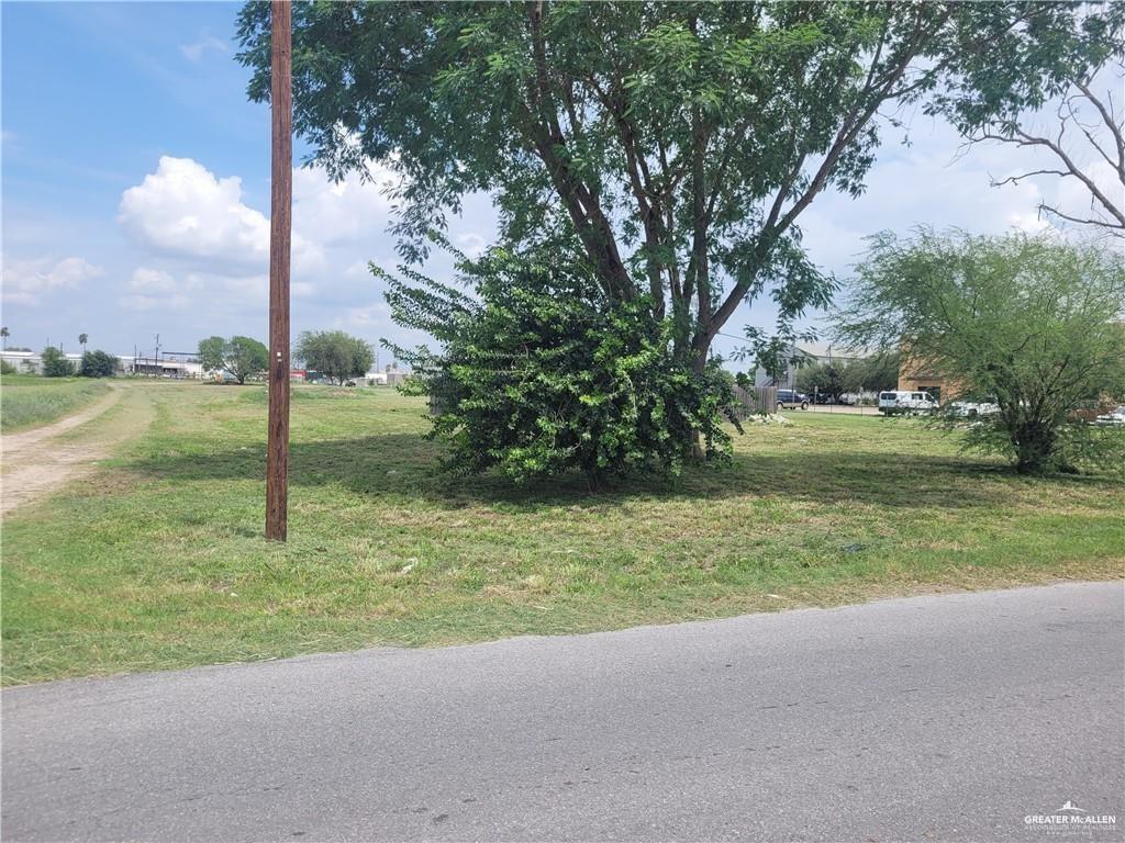 a view of a yard with palm tree