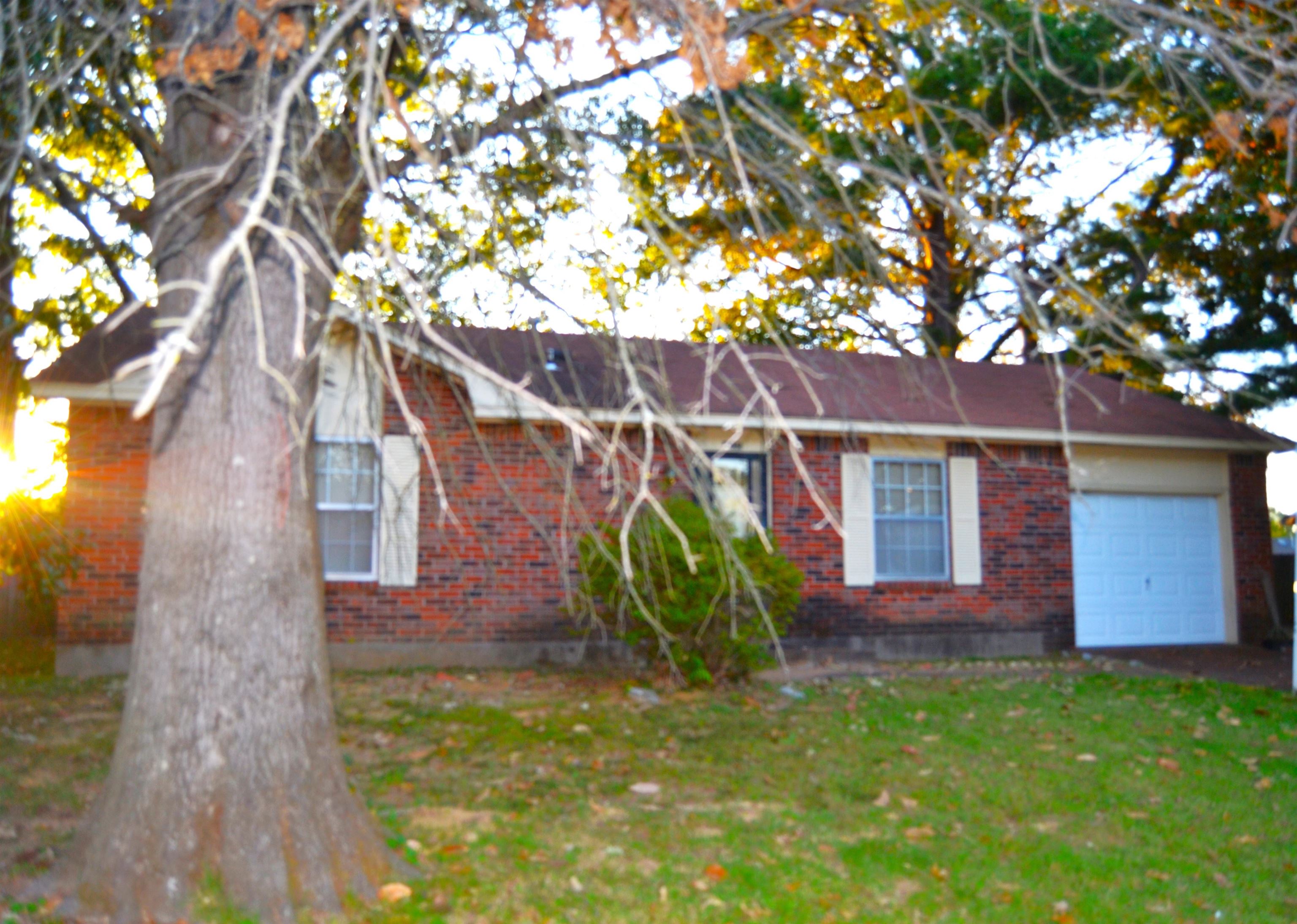 a view of a backyard