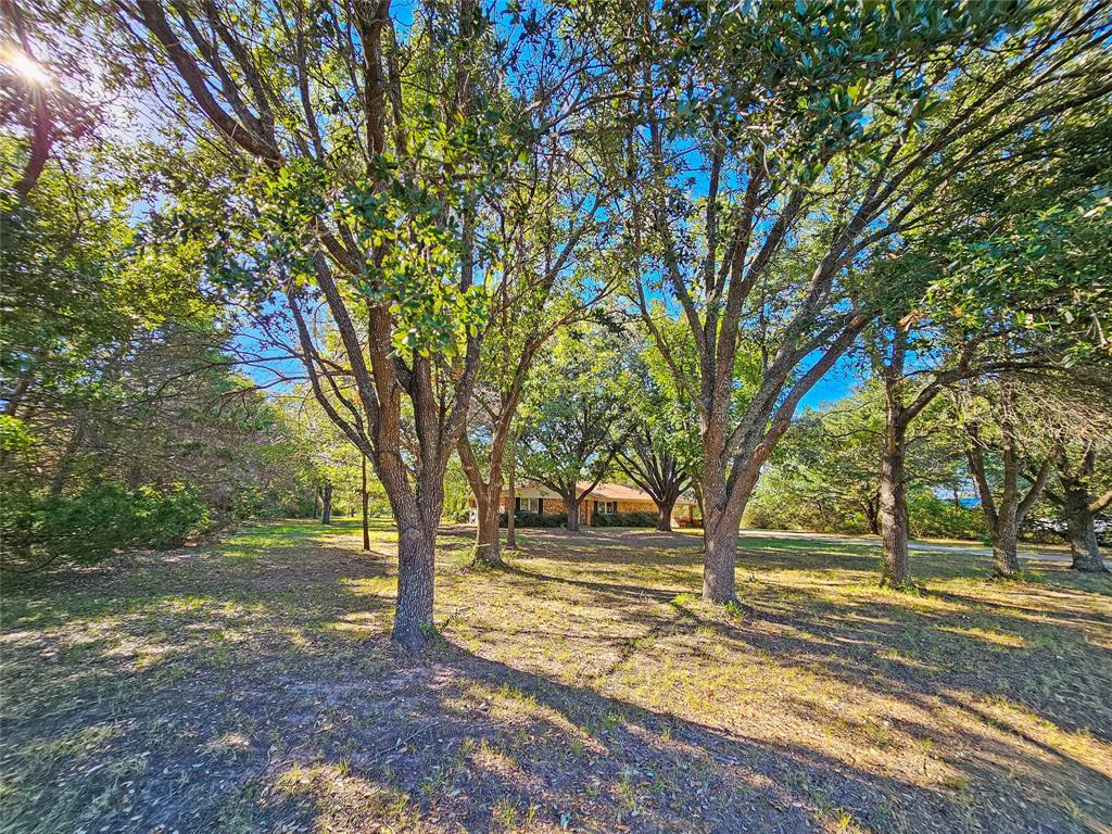 a view of outdoor space with trees