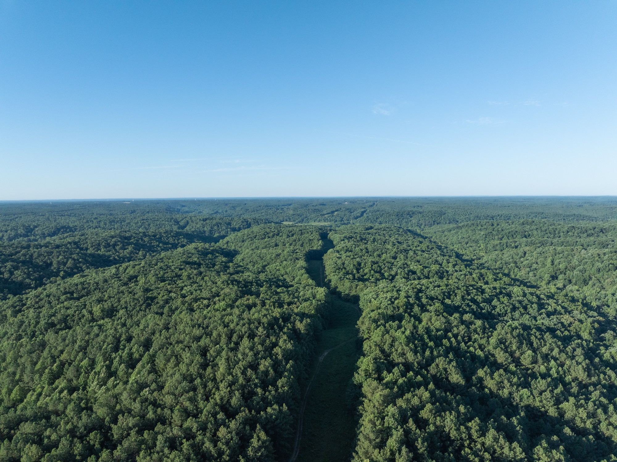 an aerial view of houses covered in trees