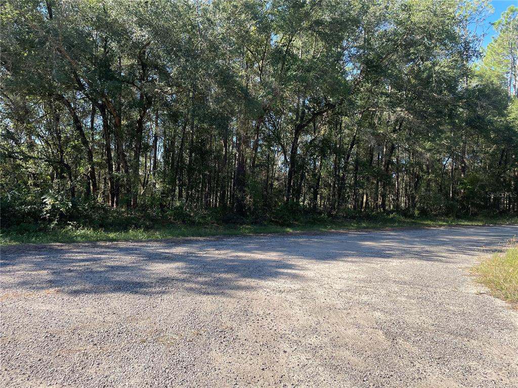 a view of a yard with a tree