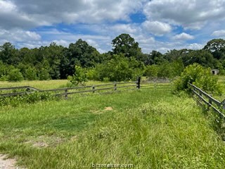 a big yard with lots of green space