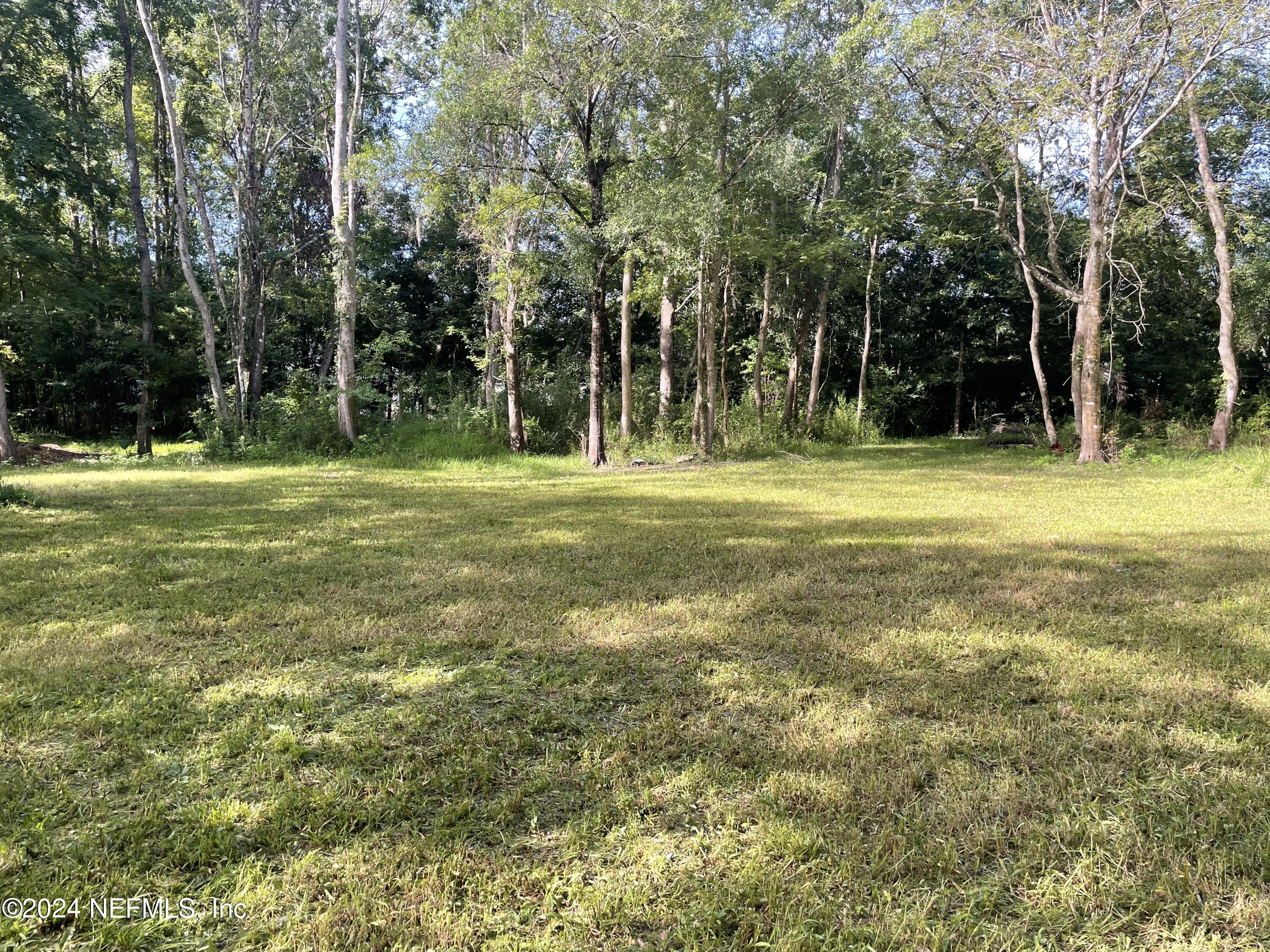 a view of a trees in a yard