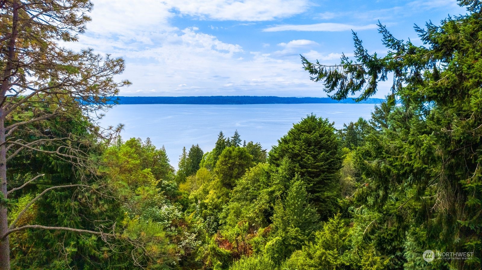 a view of a lake