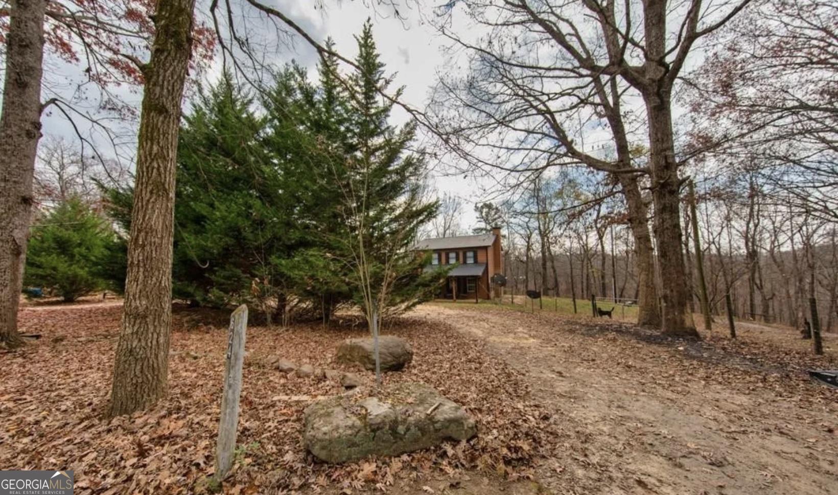 a view of a house with a tree in the forest