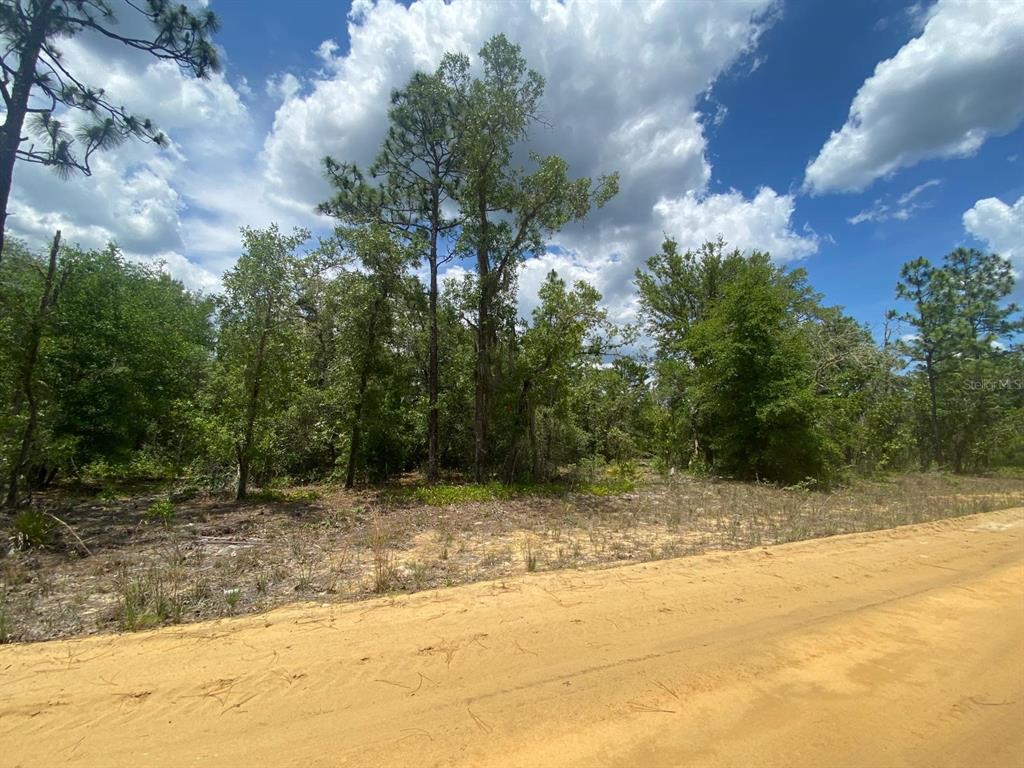 a view of a yard with trees in front of it