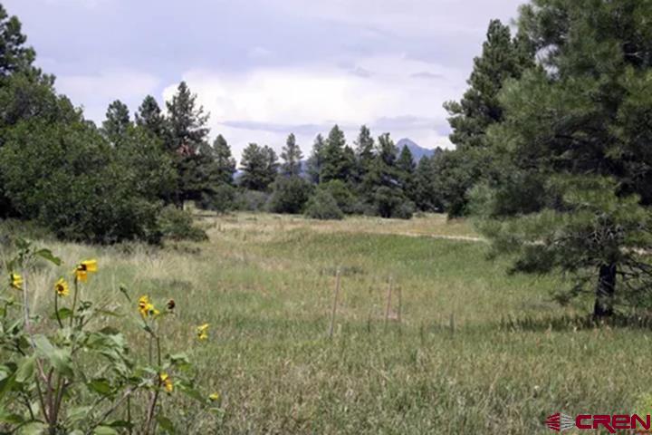 a view of outdoor space and trees