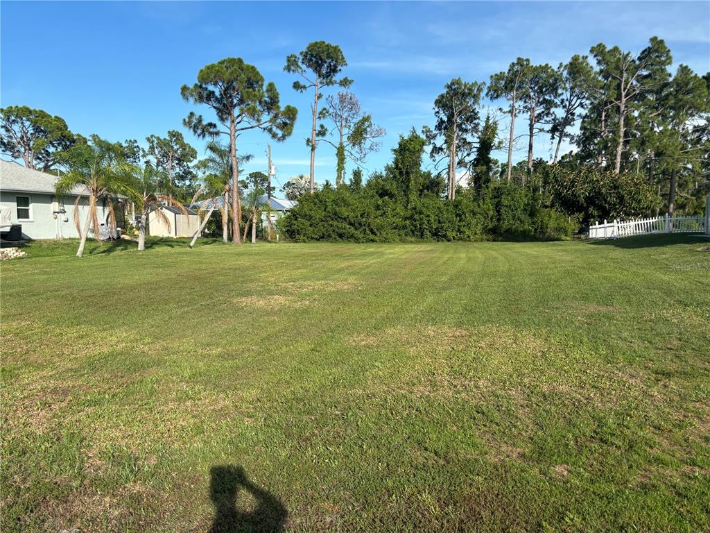 a view of a field with large trees