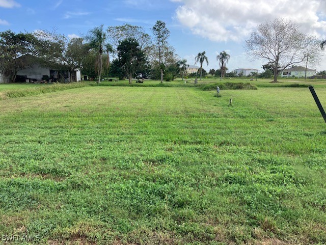 a view of a big yard with a house in the background