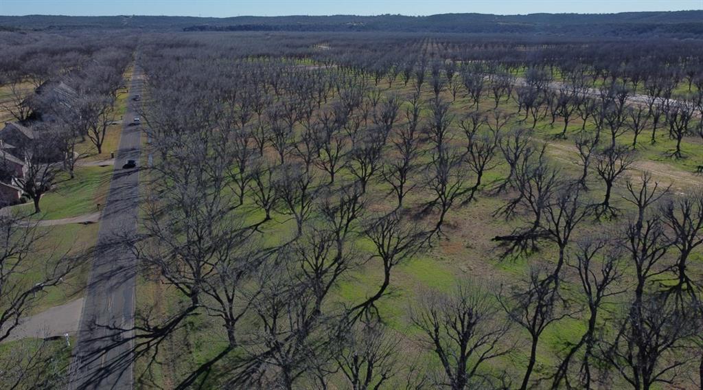 a view of a lot of trees and bushes