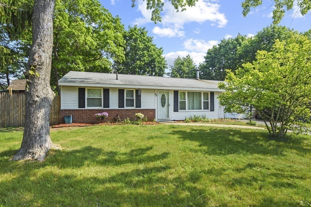 a view of a house with a yard deck and a large tree