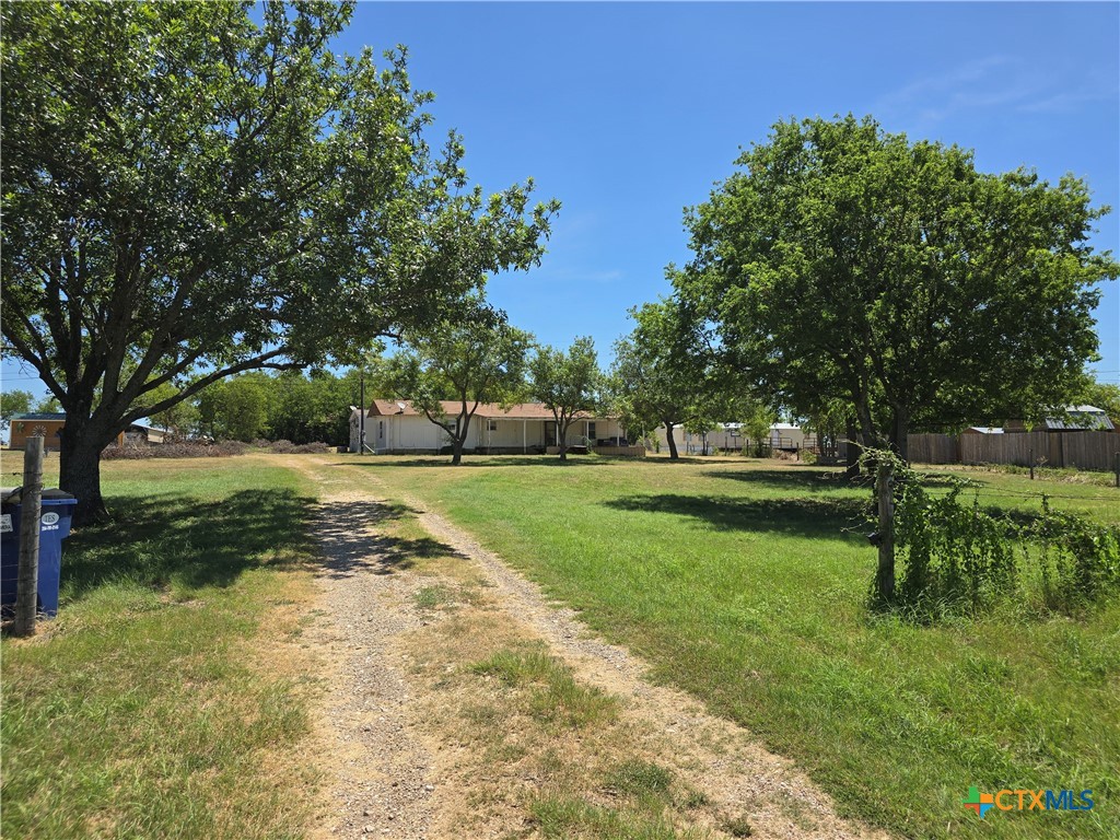 a view of yard with green space