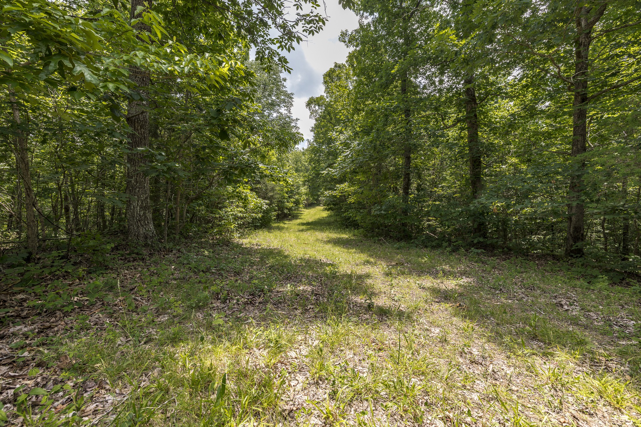 a view of outdoor space and trees