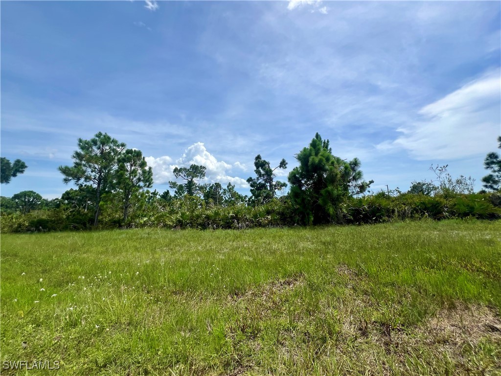 a view of a field with a tree in the background