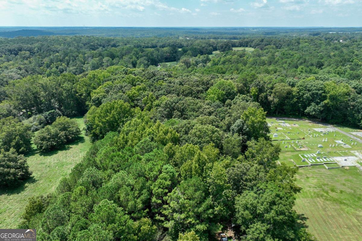 a view of a field of grass and trees