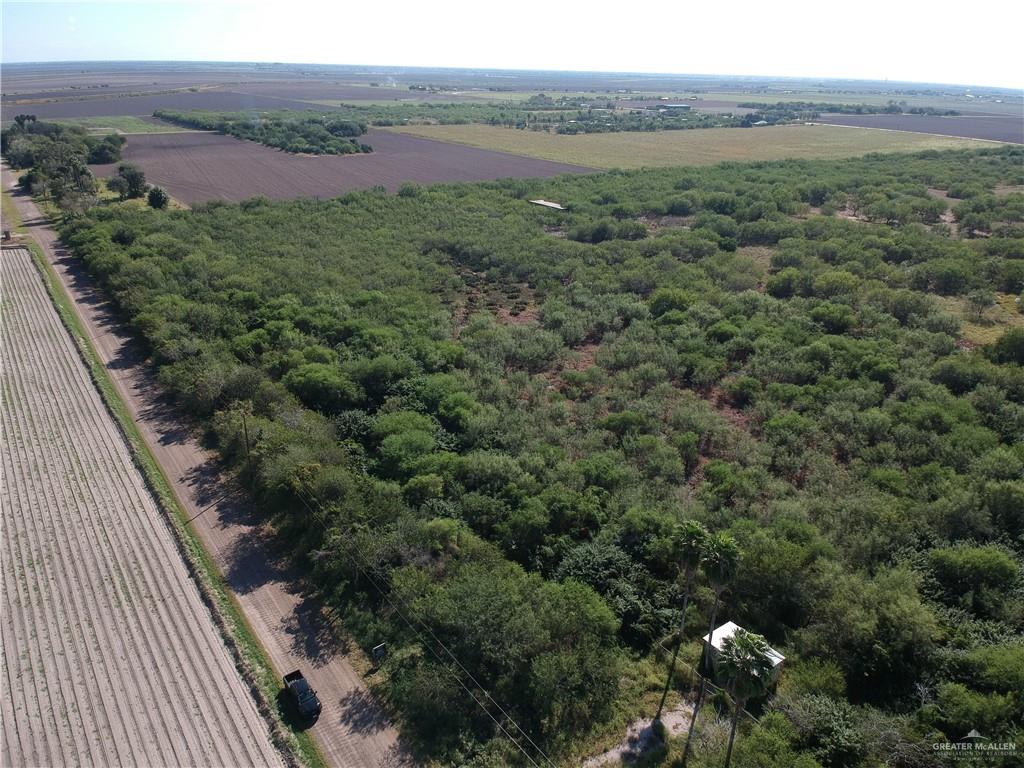 a view of a lush green forest with lots of trees