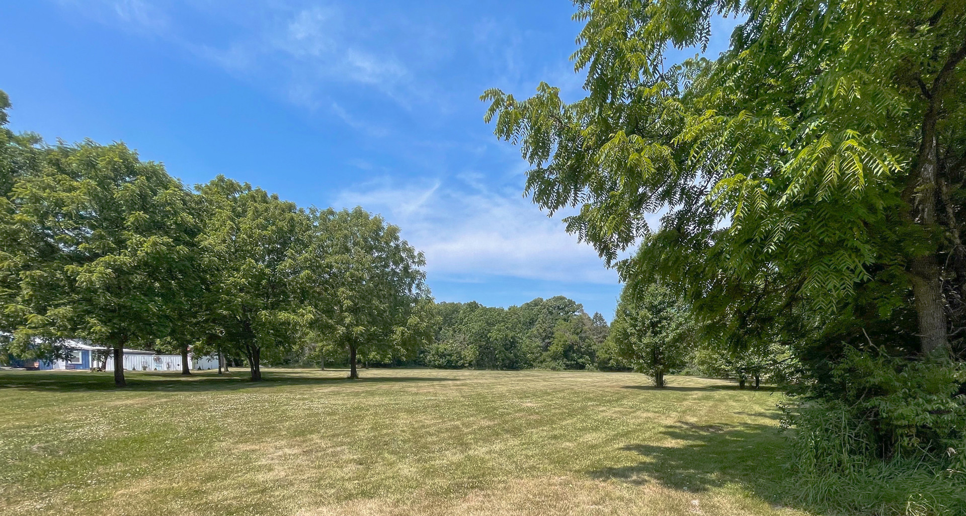 a view of a field with trees in the background