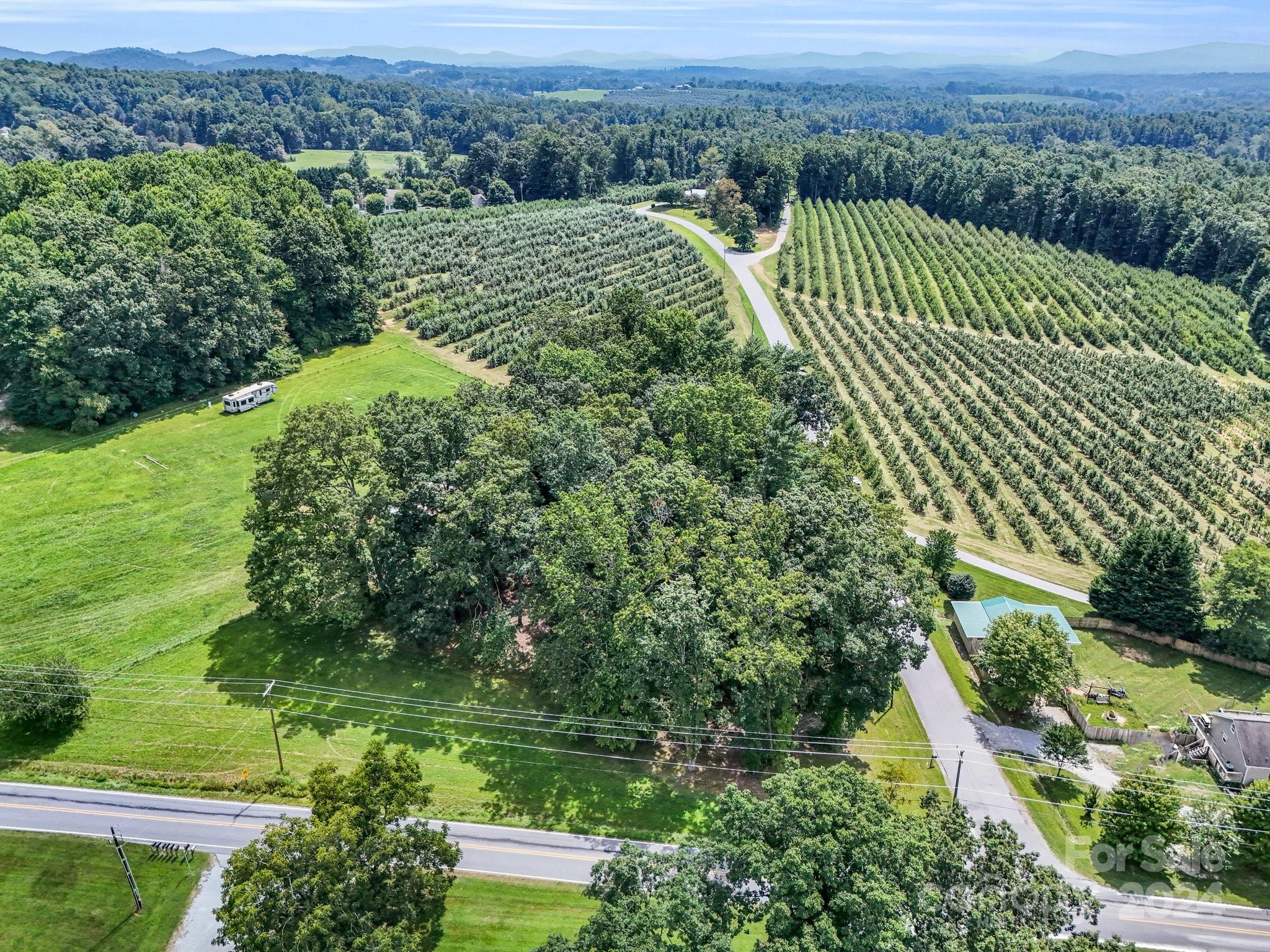 an aerial view of a yard