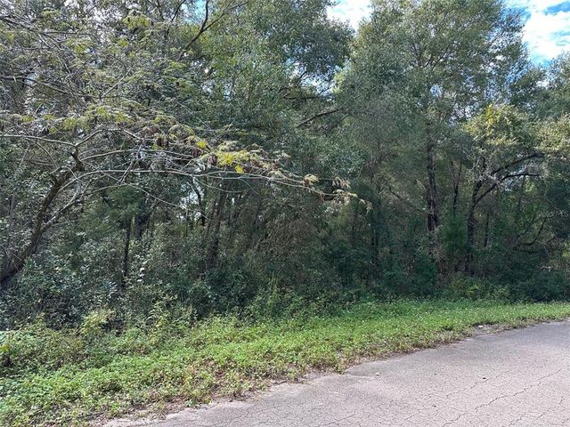 $30,000 | Tbd Guava Ter Pass | Silver Springs Shores East