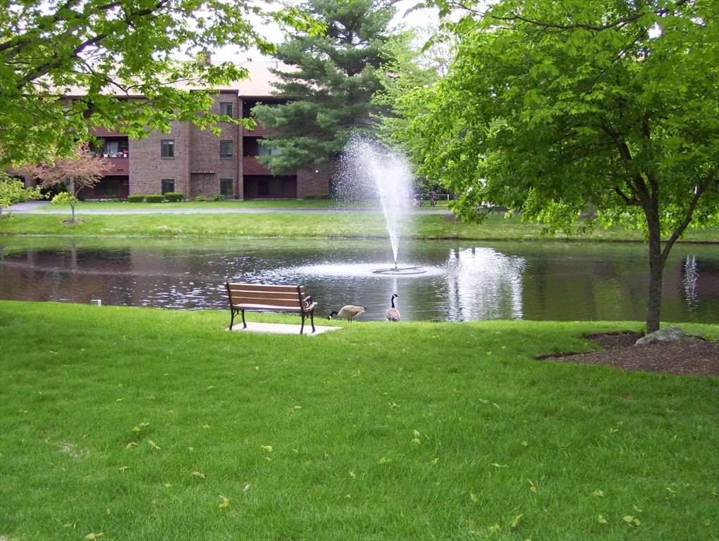 a house view with a lake view